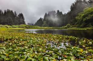 Redwood Lagoon-9842.jpg